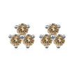 S925 Sterling Silver Moissanite Round Diamond Women's Earrings