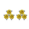 S925 Sterling Silver Moissanite Round Diamond Women's Earrings