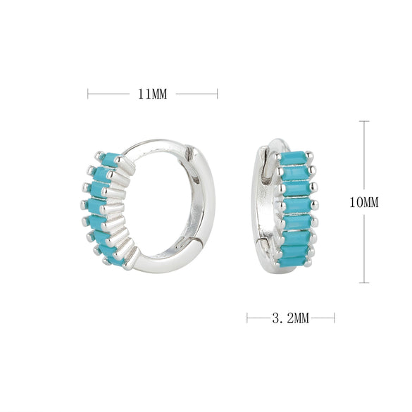 S925 Sterling Silver Round Geometry Light Luxury Zircon Earrings Electroplated