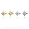S925 Sterling Silver Star Pattern Inlaid Zircon Earrings Simple Style