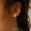 S925 Sterling Silver Star Zirconium Women's Light Luxury Earrings