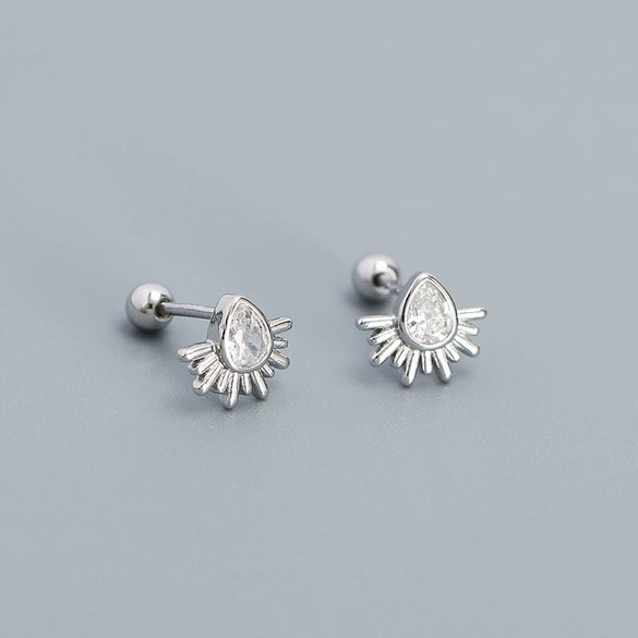 Silver Drop Shape Electroplated Zircon Women's Earrings