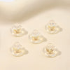 25 Silver Ear Accessories With Transparent Soft Silicone Frisbee Butterfly Design And Electroplating Process