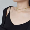 Simple Fashionable Unisex Alloy Double Layer Snake Bone Bead Clavicle Necklace Geometric Pendant Electroplated Cross Chain Jewelry