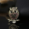 Simple Style Animal Alloy Inlay Rhinestones Pearl Unisex Brooches