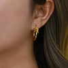 Simple Style Circle Stainless Steel Earrings Plating Stainless Steel Earrings