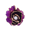 Simple Style Classic Style Musical Instrument Animal Flower Alloy Inlay Rhinestones Women'S Brooches