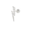 Simple Style Leaf Star Sterling Silver Plating Inlay Zircon Ear Studs 1 Piece