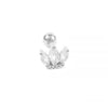 Simple Style Leaf Star Sterling Silver Plating Inlay Zircon Ear Studs 1 Piece