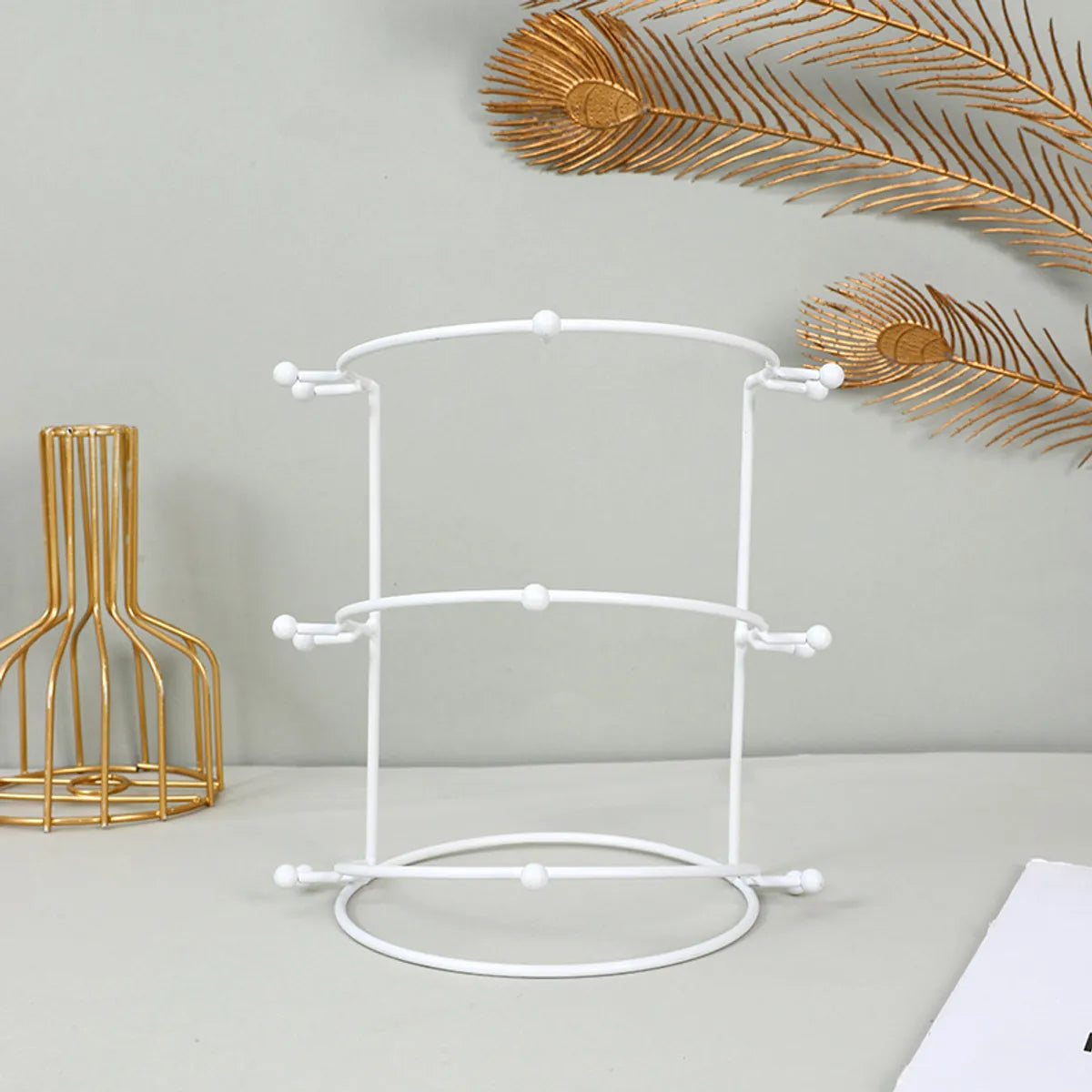 Simple Style Solid Color Metal Jewelry Rack