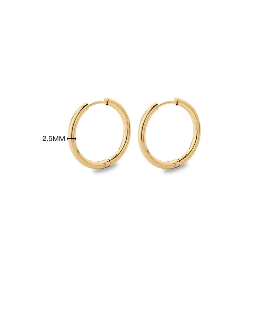 Simple Style Solid Color Stainless Steel Hoop Earrings 1 Pair