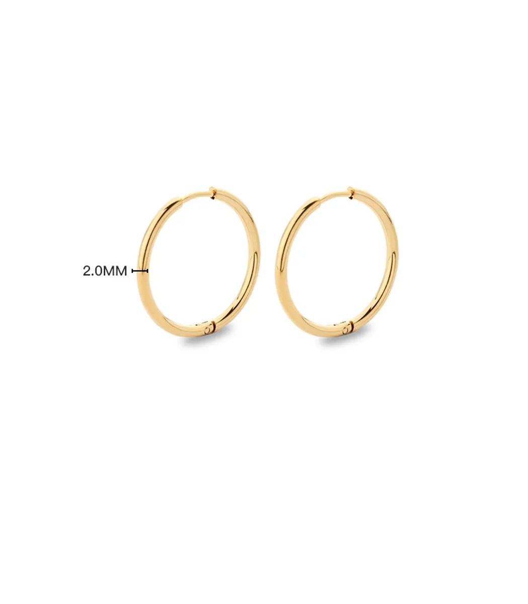 Simple Style Solid Color Stainless Steel Hoop Earrings 1 Pair