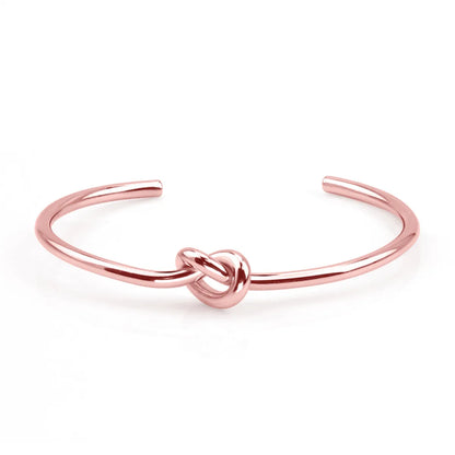 Simple Style Solid Color Stainless Steel Titanium Steel Polishing Plating Rose Gold Plated Gold Plated Bangle