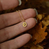 Simple Style Stainless Steel And Alloy Necklace With Flower And Acorn Mushroom Strawberry Pattern O Word Chain Electroplating For Women