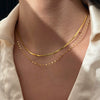 Stainless Steel And Titanium Steel Double Lip Chain Snake Bone U Shape Hiphop Women's Light Luxury Niche Design Sense Clavicle Chain Necklace Accessories With Electroplating