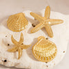 Stainless Steel Animal Star Pattern Electroplated Brooch