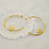 Stainless Steel Circle Star Geometric Fashion Earrings With Electroplating For Women