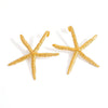 Stainless Steel Earrings Hammered Starfish Style Electroplated For Women