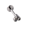 Stainless Steel Electroplated Dot Inner Tooth Lip Nails Straight Pole Sunflower Ear Bone Nail Earrings