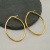 Stainless Steel Geometric Oval Women's Earrings With Electroplating