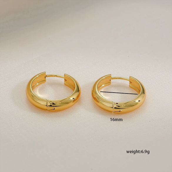 Stainless Steel Geometric Simple Electroplated Unisex Earrings