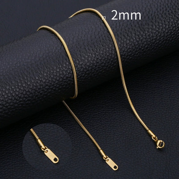 Stainless Steel Geometric Snake Bone Chain Necklace With Pendant For Unisex Electroplating Style