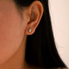 Stainless Steel Geometric Square Electroplated Women's Earrings