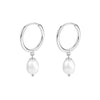Stainless Steel Geometric Star And Moon Ear Cuffs Electroplated Light Luxury Women's Earrings