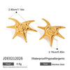 Stainless Steel Geometric Star Earrings Electroplated Women's Jewelry Light Luxury Highend