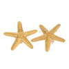 Stainless Steel Geometric Starfish Hammered Electroplated Women's Earrings