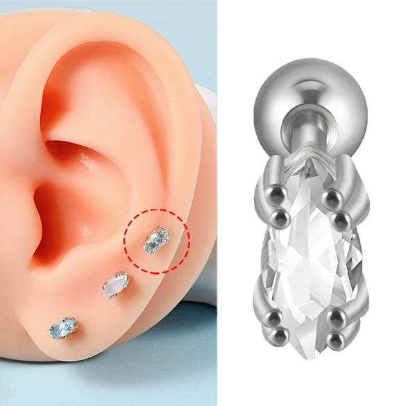 Stainless Steel Heartshaped Wings And Dog Footprints Demon Zircon Earrings With Diamond Design