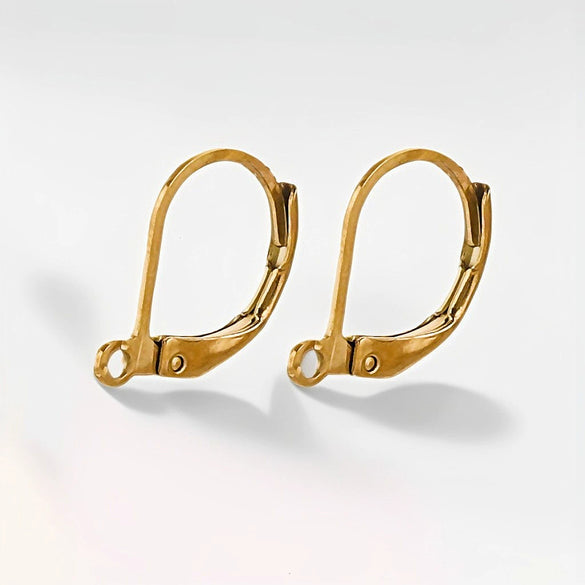 Stainless Steel Minimalist Totem Pattern French Hook Earrings Jewelry With Electroplating