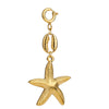Stainless Steel Natural Style Accessories With Starfish Pendant And Bikini Connection Buckle Electroplated