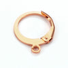 Stainless Steel Round Ear Hook Earrings Jewelry Accessories With Electroplating For Men And Women