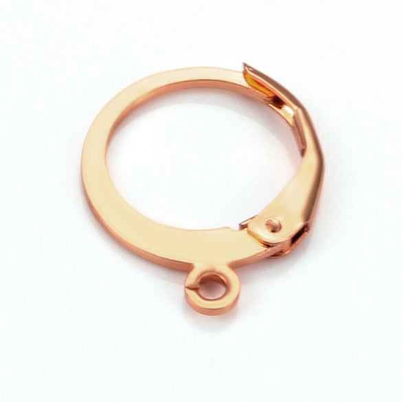 Stainless Steel Round Ear Hook Earrings Jewelry Accessories With Electroplating For Men And Women