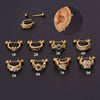 Stainless Steel Thin Rod The Crown Style Electroplated Women's Puncture Earrings