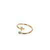 Stainless Steel Twelve Constellations Electroplated Open Ring For Women