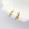925 Sterling Silver Feather Earrings Inlaid Zircon Light Luxury Natural Design For Women