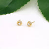 Sterling Silver Microembedded Twist Inlaid Zircon Earrings For Women