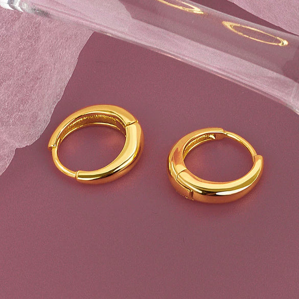 925 Sterling Silver Minimalist Geometric Hoop Earrings For Women Light Luxury Style Silver Ear Buckle