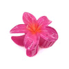 Sweet Flower Transparent Plastic Resin Hair Claws