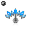 Titanium Alloy Geometric Zircon Earrings And Lip Nails Piercing Jewelry