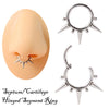 Titanium Closed Nose Ring And Earrings Welded Ball Pointed Cone Round Style Electroplated Unisex