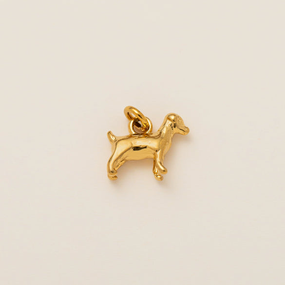 Titanium Steel Animal Zodiac Pendant Necklace Electroplated Jewelry Accessories