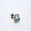 Titanium Steel Animal Zodiac Zirconia Couple's Screw Earring