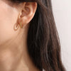 316L Stainless Steel Circle Electroplated Allmatch Women's Fashion Trendy Earrings