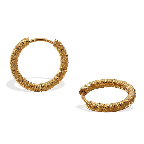 316L Stainless Steel Circle Electroplated Allmatch Women's Fashion Trendy Earrings