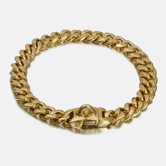 Titanium Steel Dog Collar Antibite Leisure Encrypted Round Grinding Chain Polished Vacuum Plating