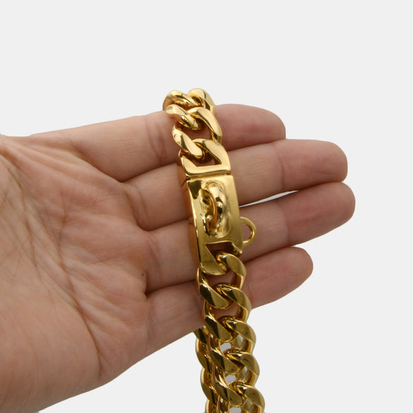 Titanium Steel Dog Collar Antibite Leisure Encrypted Round Grinding Chain Polished Vacuum Plating