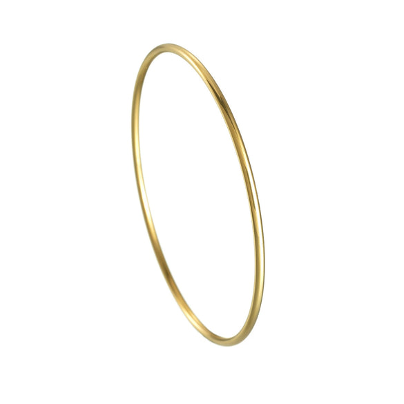 Titanium Steel Electroplated Women's Linear Closed Bracelet